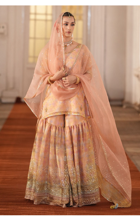 MultiPrinted Organza Gharara Outfit